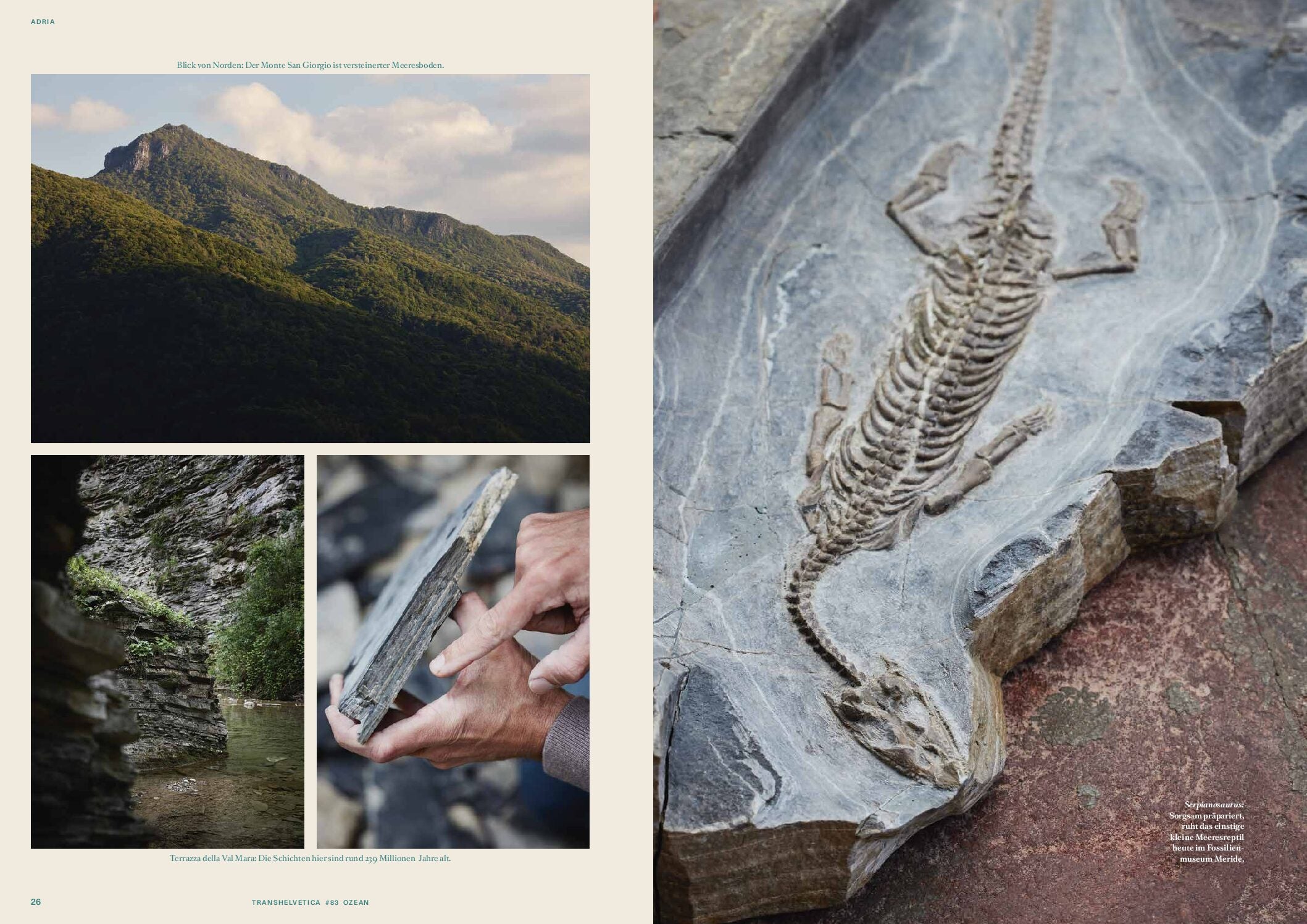 LABEL17 präsentiert die Ausgabe 83 von Transhelvetica: Ozean