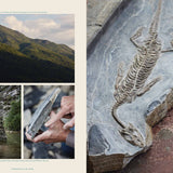 LABEL17 präsentiert die Ausgabe 83 von Transhelvetica: Ozean