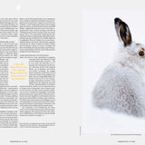 Transhelvetica #75 - Hare