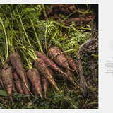 Transhelvetica #75 - Hare