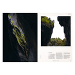 LABEL17 präsentiert in Transhelvetica 81 das Thema Drache