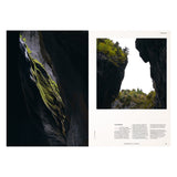 LABEL17 präsentiert in Transhelvetica 81 das Thema Drache