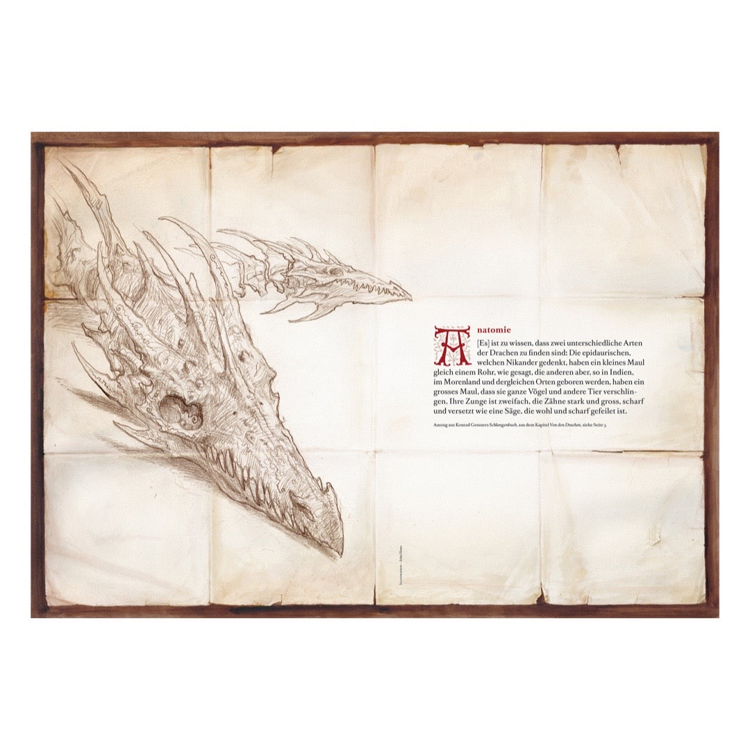 LABEL17 präsentiert in Transhelvetica 81 das Thema Drache