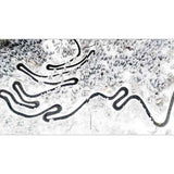 Transhelvetica Engadin Magazine No. 5 - This expanse