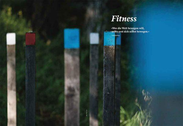 Transhelvetica Engadin Magazin Nr. 4 - Holz - Label 17 New