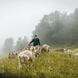 Transhelvetica #67 - Edible Landscapes