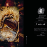 Transhelvetica #67 - Edible Landscapes