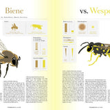 Transhelvetica #72 - Yellow