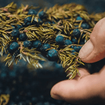 Kranewitt Gin, Handmade in Val Müstair GR, Switzerland, 43 Vol.%, LABEL17