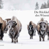 Transhelvetica #63 - Buffalo