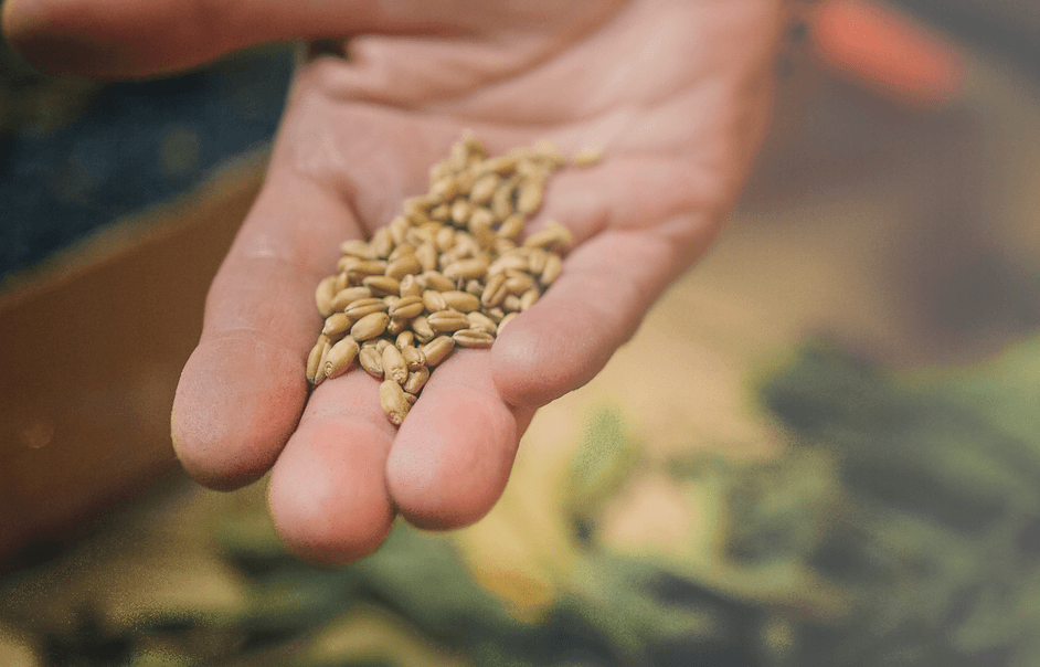 Kranewitt Gin, Handmade in Val Müstair GR, Switzerland, 43 Vol.%, LABEL17