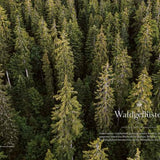 Transhelvetica #60 - Heart and soul