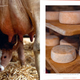 Transhelvetica #74 - Everything will be fine