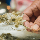 Kranewitt Gin, Handmade in Val Müstair GR, Switzerland, 43 Vol.%, LABEL17