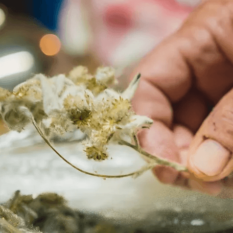 Kranewitt Gin, Handmade in Val Müstair GR, Switzerland, 43 Vol.%, LABEL17