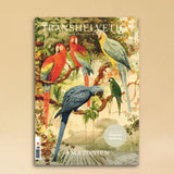 Transhelvetica Ausgabe 97 Amazonien:  zusammen mit dem Museum Rietberg wird eine Expedition gestartet, Ausgangspunkt und Bezugsort: LABEL17 in Zürich Seefeld