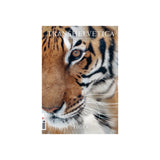 Transhelvetica #69 - Tiger