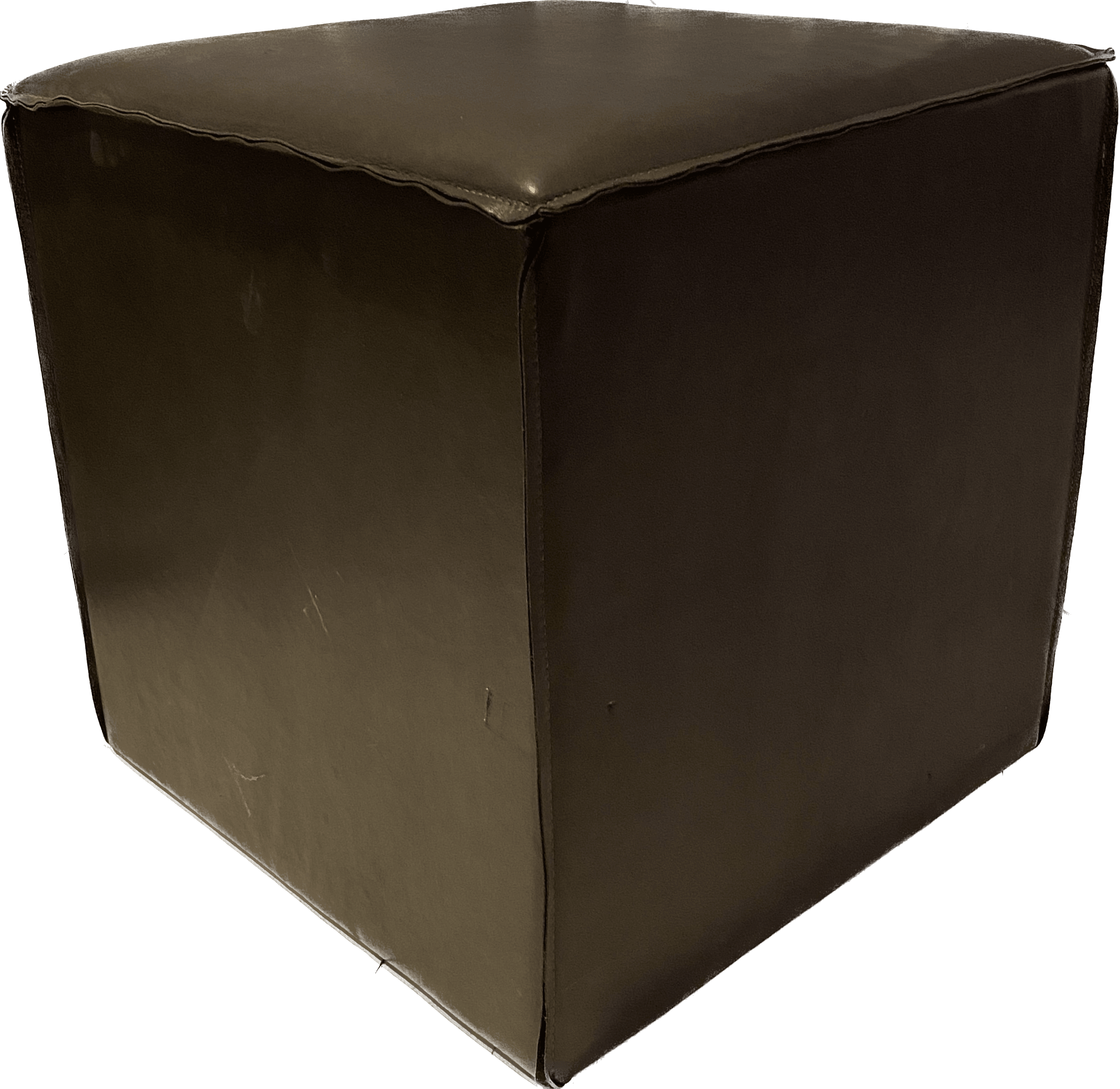 Leather-Pouf Lambnappa - Label 17 New