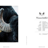 Transhelvetica #63 - Büffel